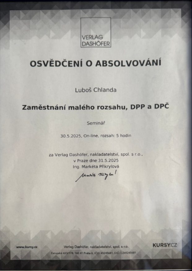 Zaměstnání malého rozsahu, DPP a DPČ